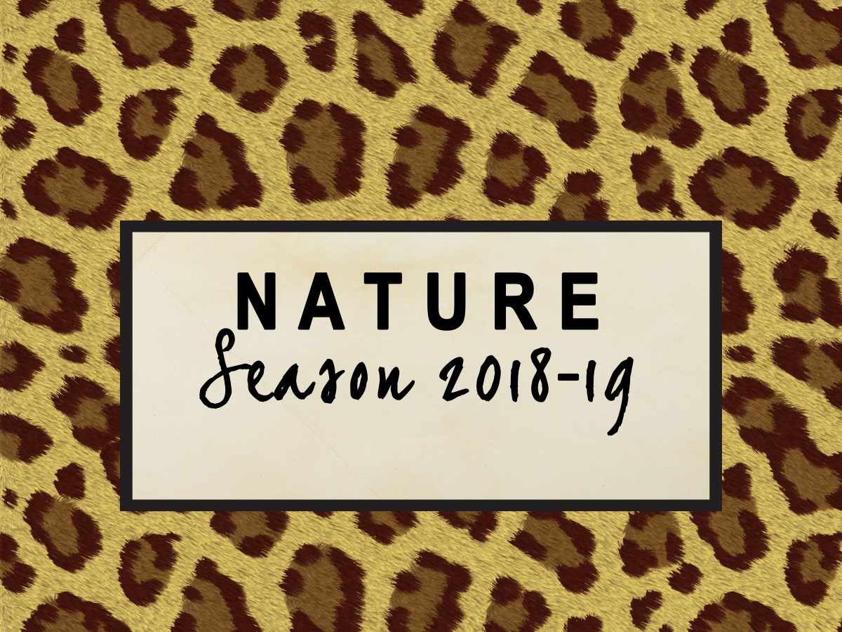 NATURE: SEASON 2018-19