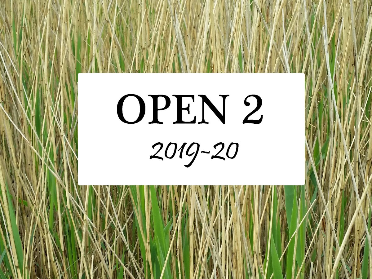 Open 2, Season&nbsp;2019-20