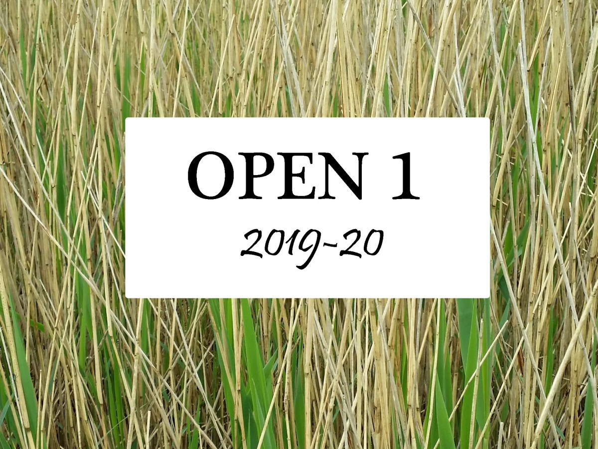 Open 1, Season&nbsp;2019-20