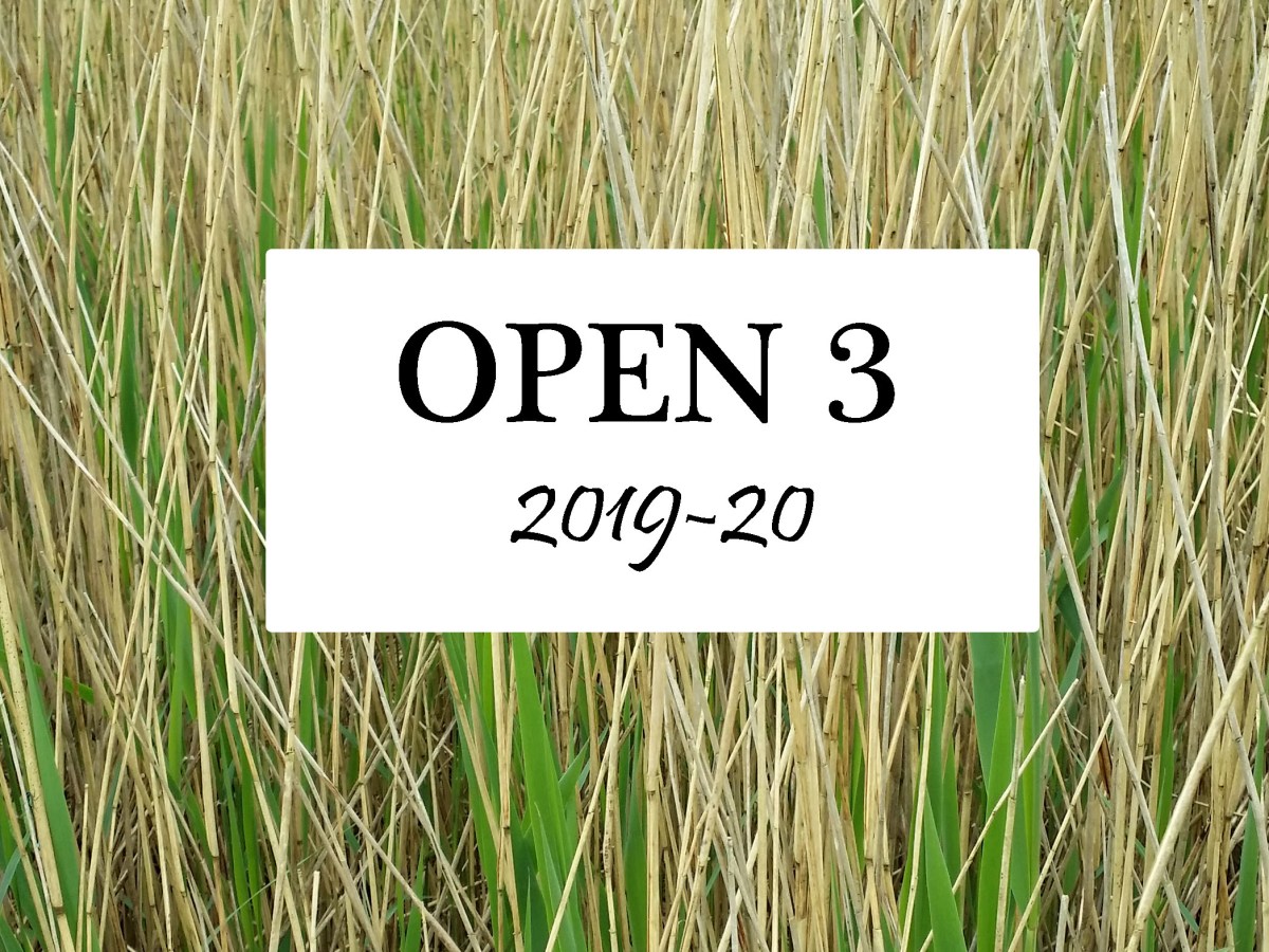 Open 3, Season&nbsp;2019-20