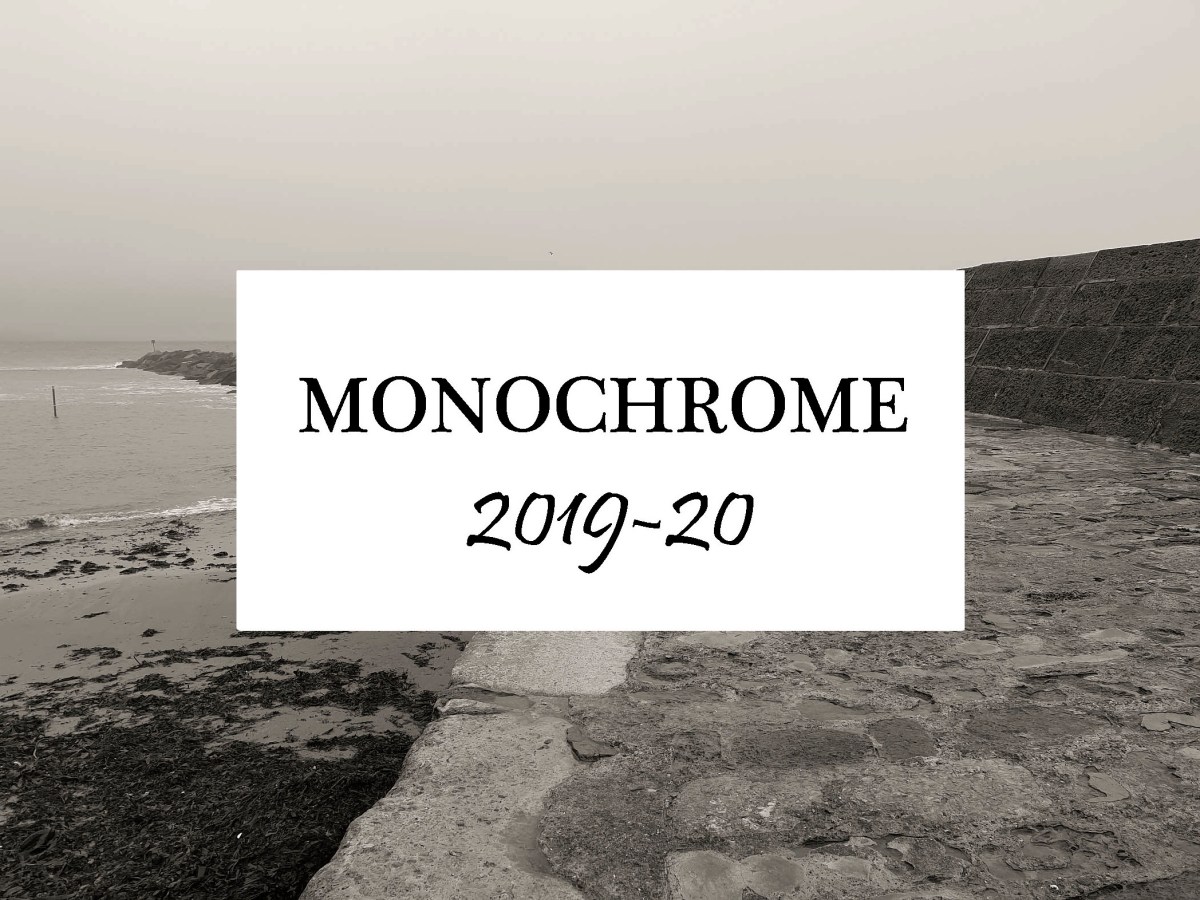 Monchrome, Season 2019-20