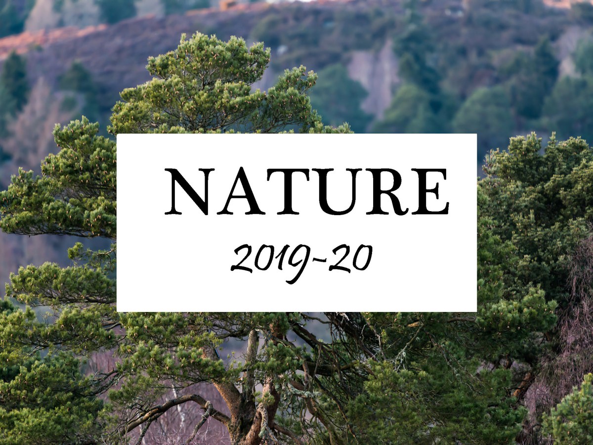 Nature, Season 2019-20