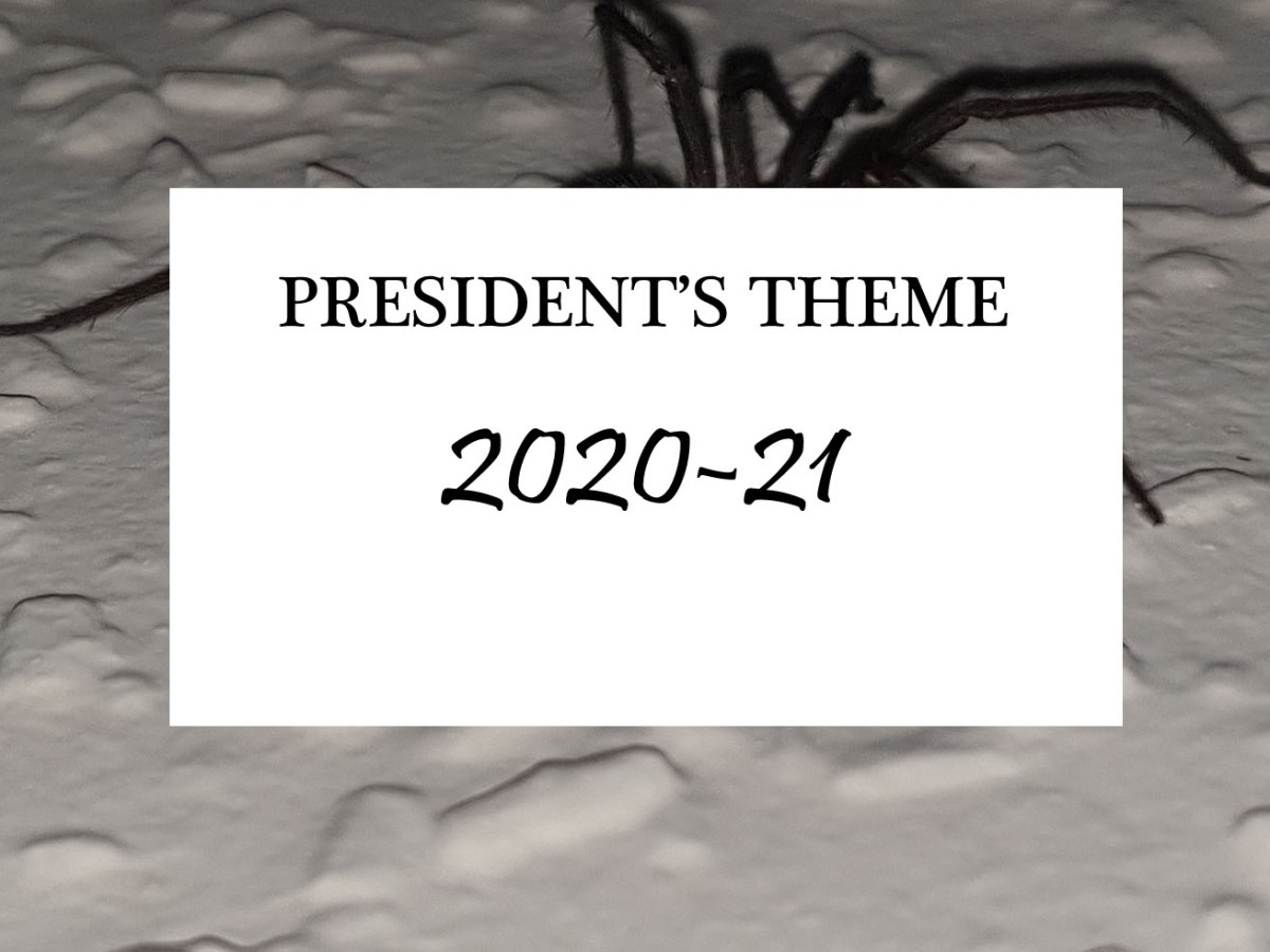 President’s Competition, 2020-21