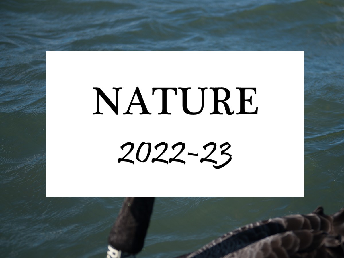 Nature/ Natural History Competition&nbsp;2022-23